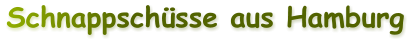 Schnappschsse aus Hamburg