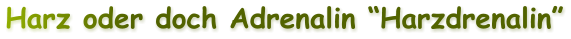 Harz oder doch Adrenalin Harzdrenalin